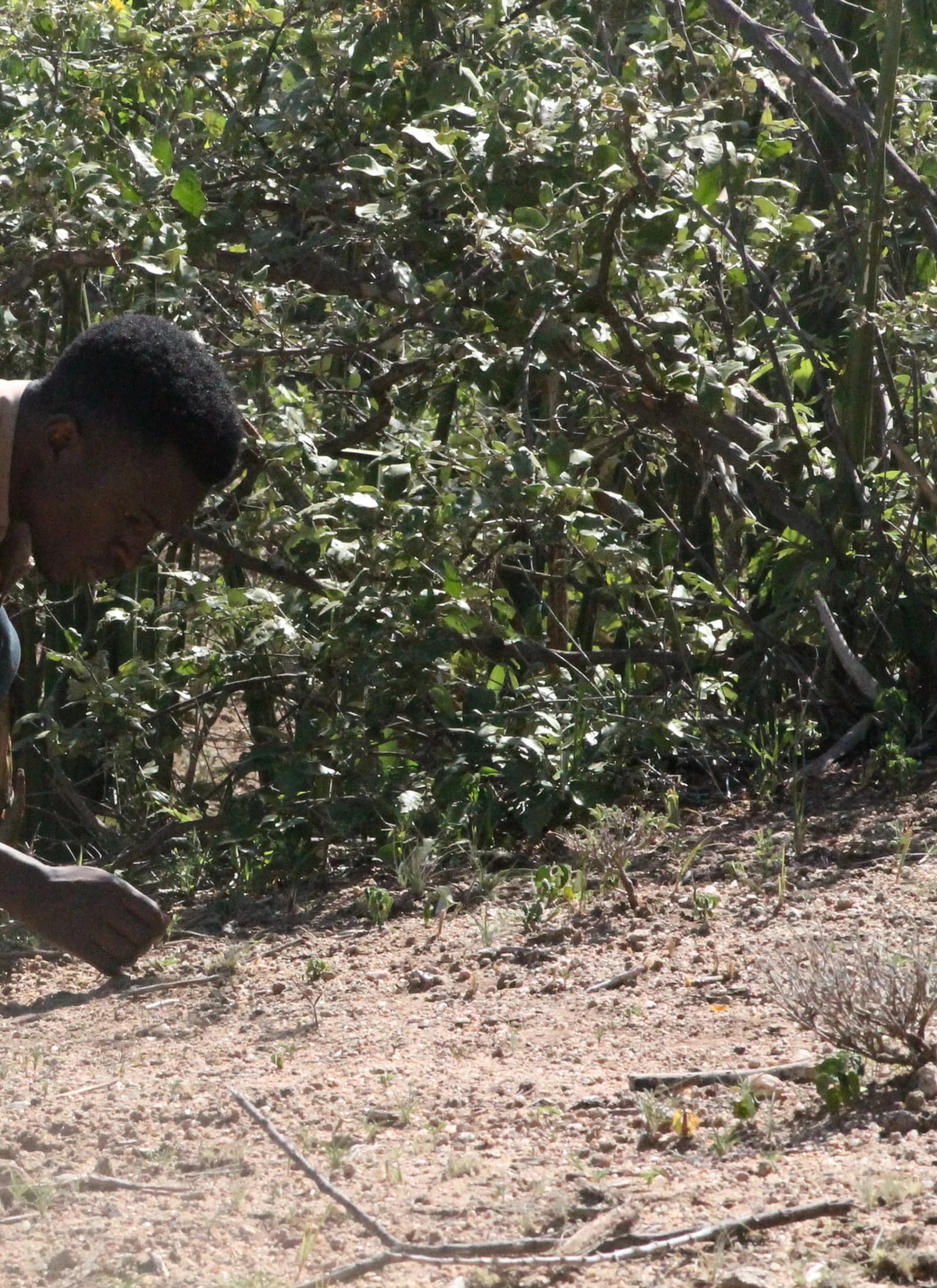 Destino: Tanzania