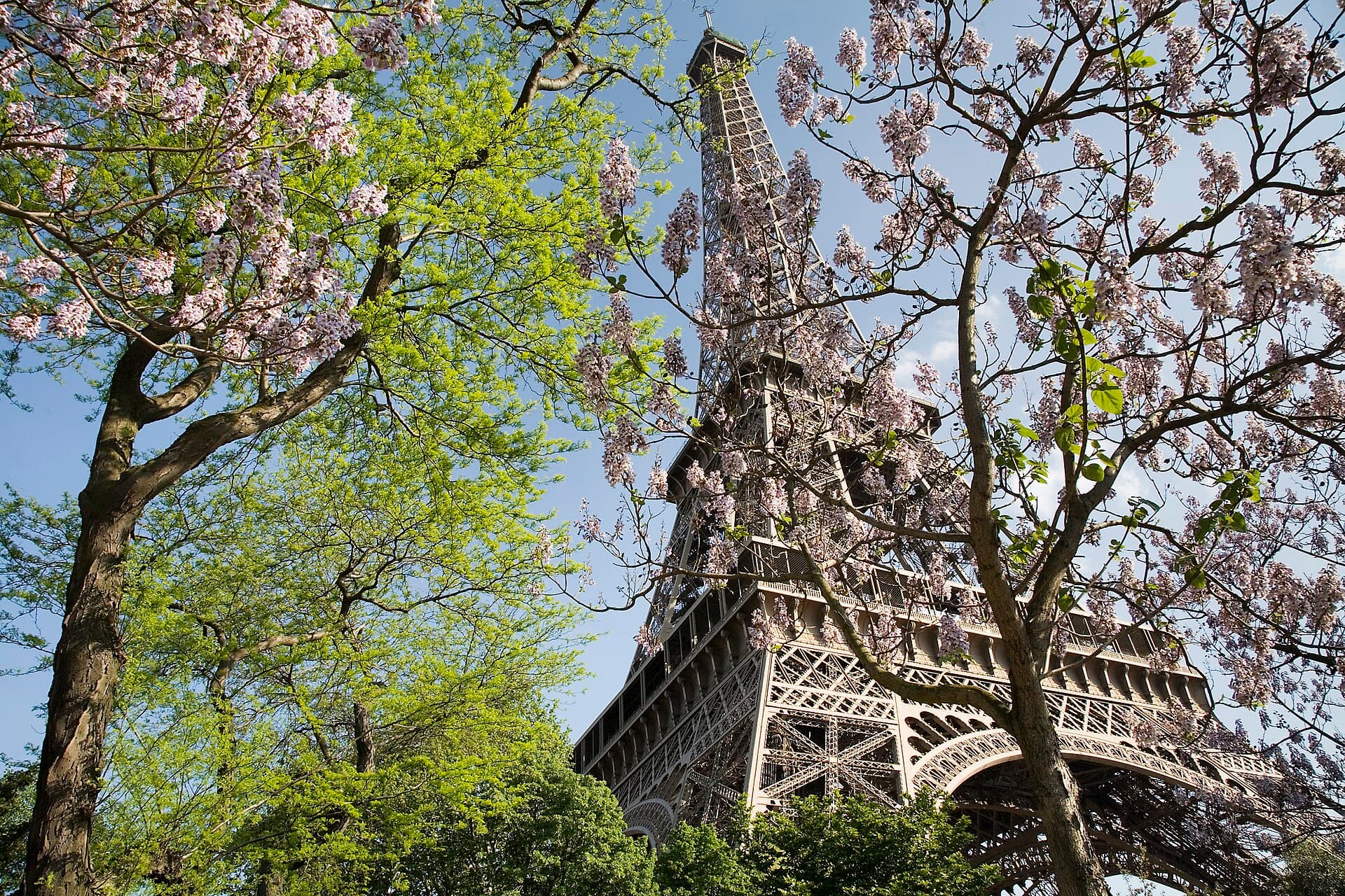 París 5 días | Francia