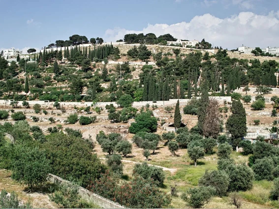 SAFED - YARDENIT - MONTE TABOR