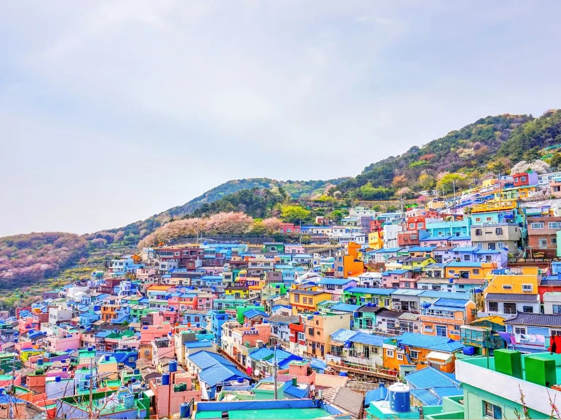 BUSAN – GAMCHEON – MERCADO DE JAGALCHI – CEMENTERIO DE LA ONU