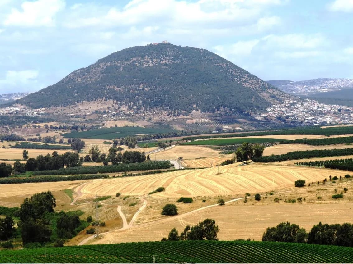 MONTE DE LOS OLIVOS - CIUDAD MODERNA