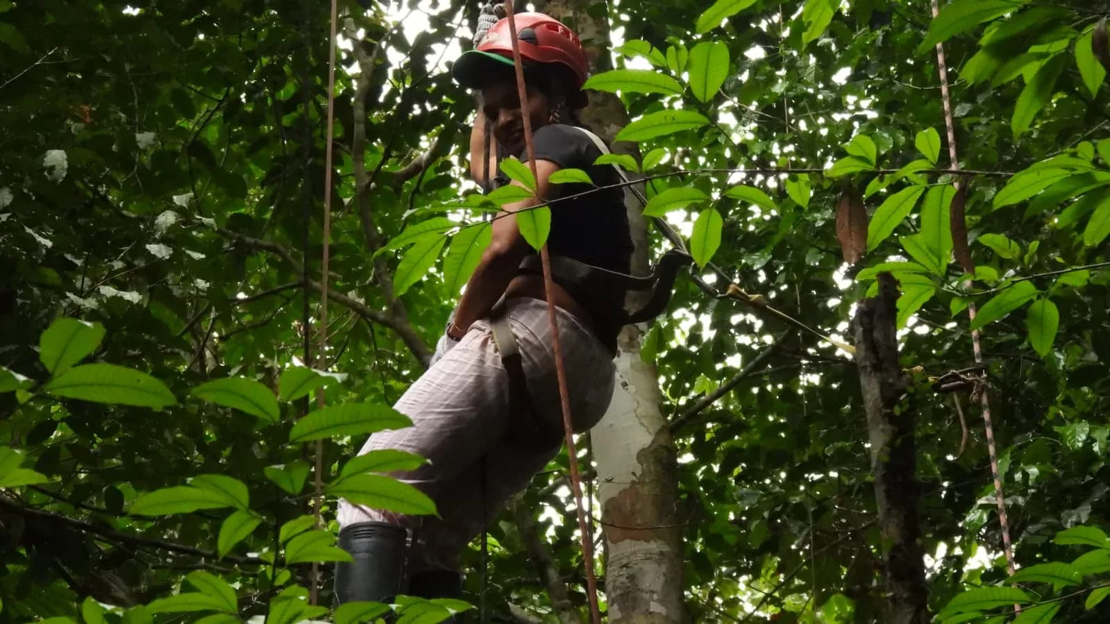 DÍA 3 – LETICIA – RÍO AMAZONAS – MACEDONIA, PUERTO NARIÑO, NATURAL PARK - ISLA MICOS - LETICIA