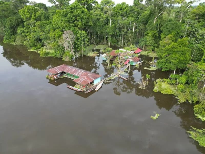 Plan Amazonas Inmersión selva Peruana o Brasileña 3 dias