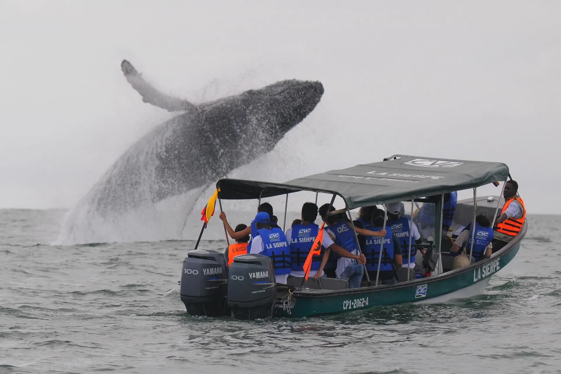 DÍA 3 – NUQUI –  AVISTAMIENTO DE BALLENAS Y CASCADA DEL AMOR