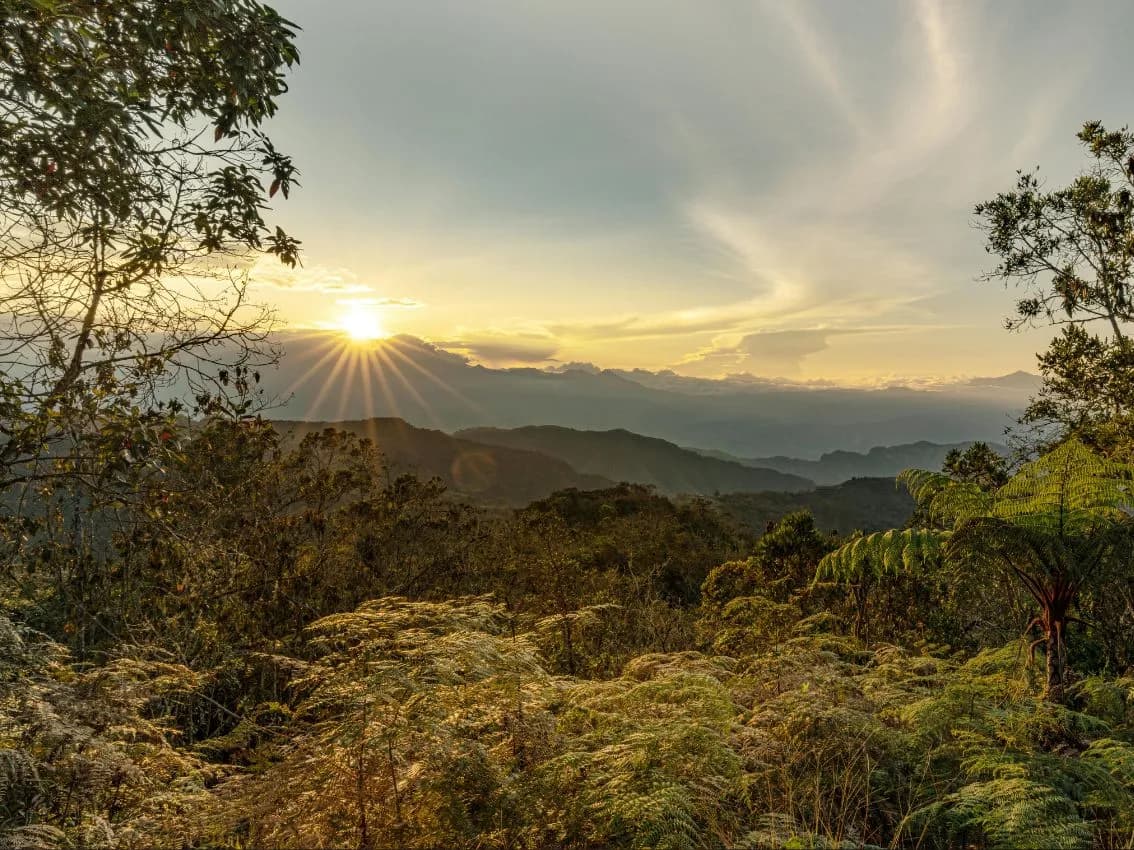 Plan turistico en Putumayo 3 noches 4 días