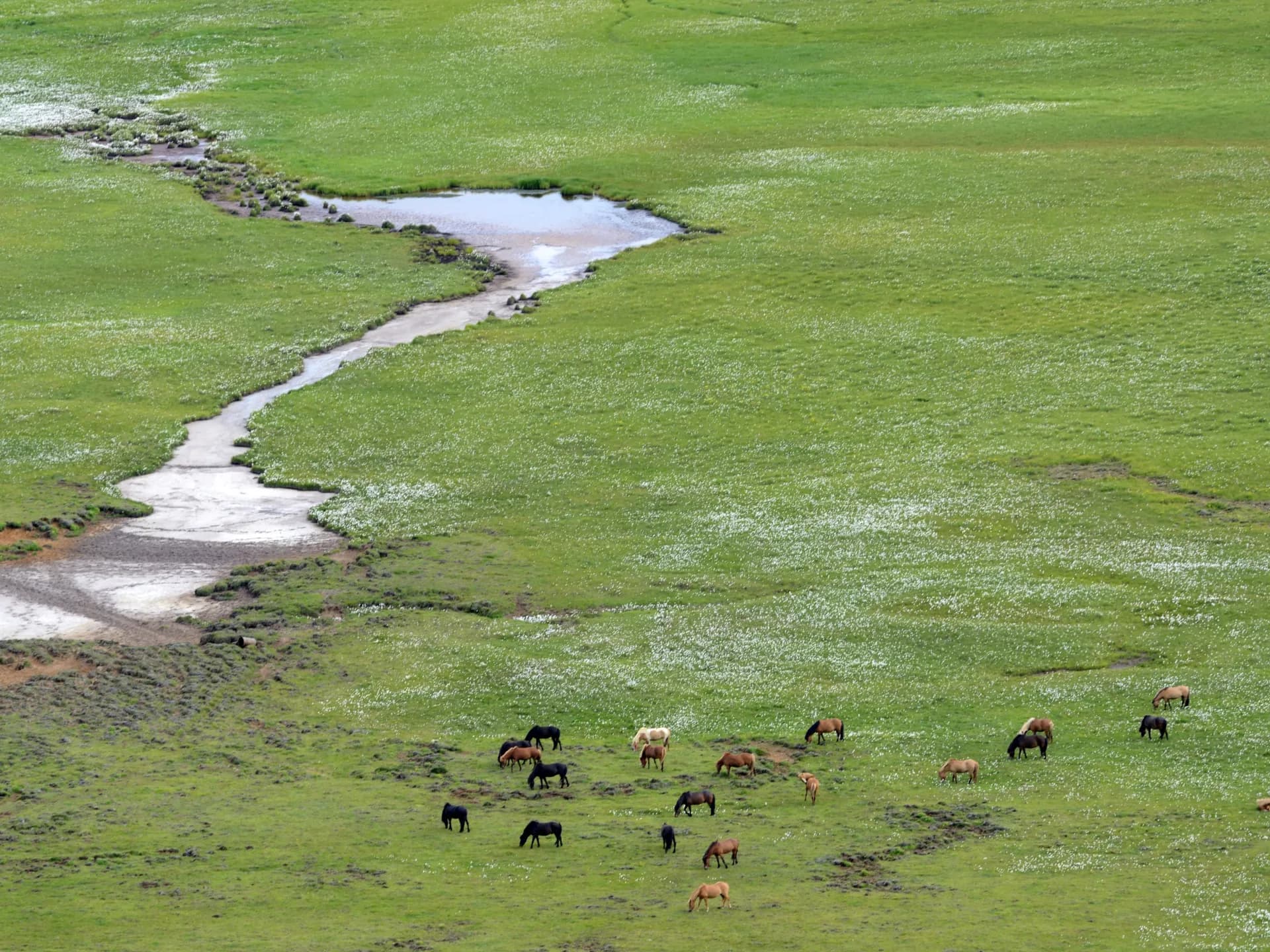Día 1: Bogotá – Villavicencio – Puerto López – Alto de Menegua