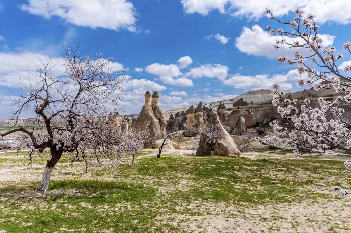 ZONA DE IZMIR - BURSA - ESTAMBUL