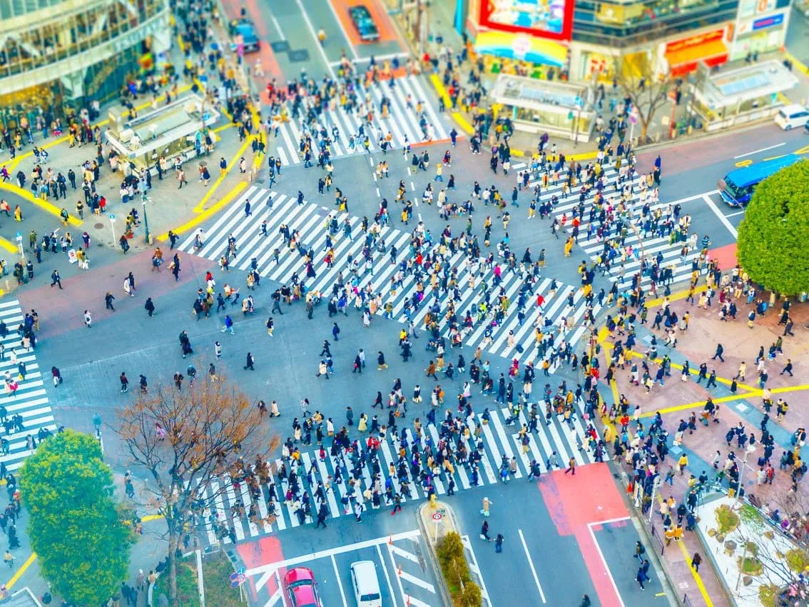 TOKIO – DÍA LIBRE