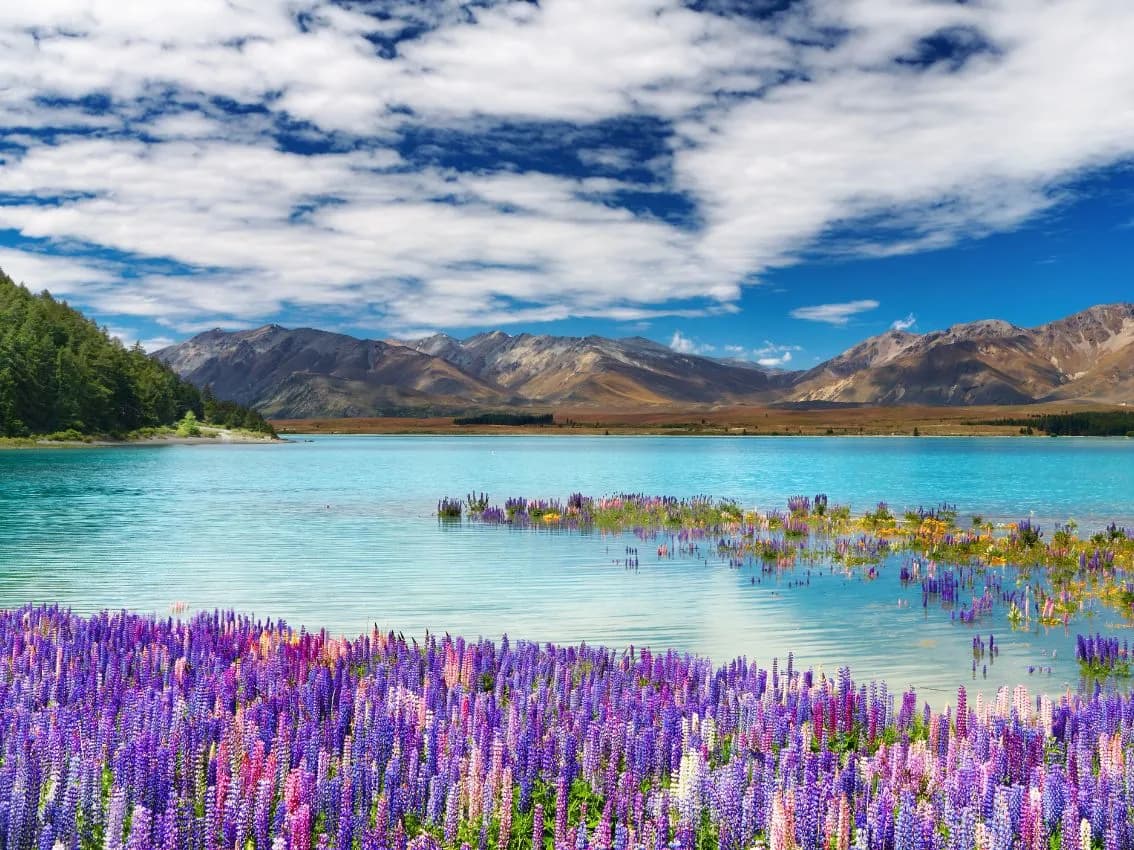 CHRISTCHURCH – LAGO TEKAPO