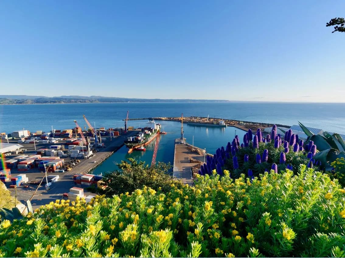 AUCKLAND – WAITOMO – ROTORUA