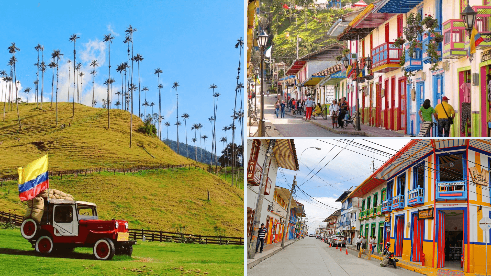 5 Días 4 Noches - Peregrinación a Buga, City Tour en Cali, Zoológico de Cali, Parque del Café, Salento, Filandia y Valle de Cocora