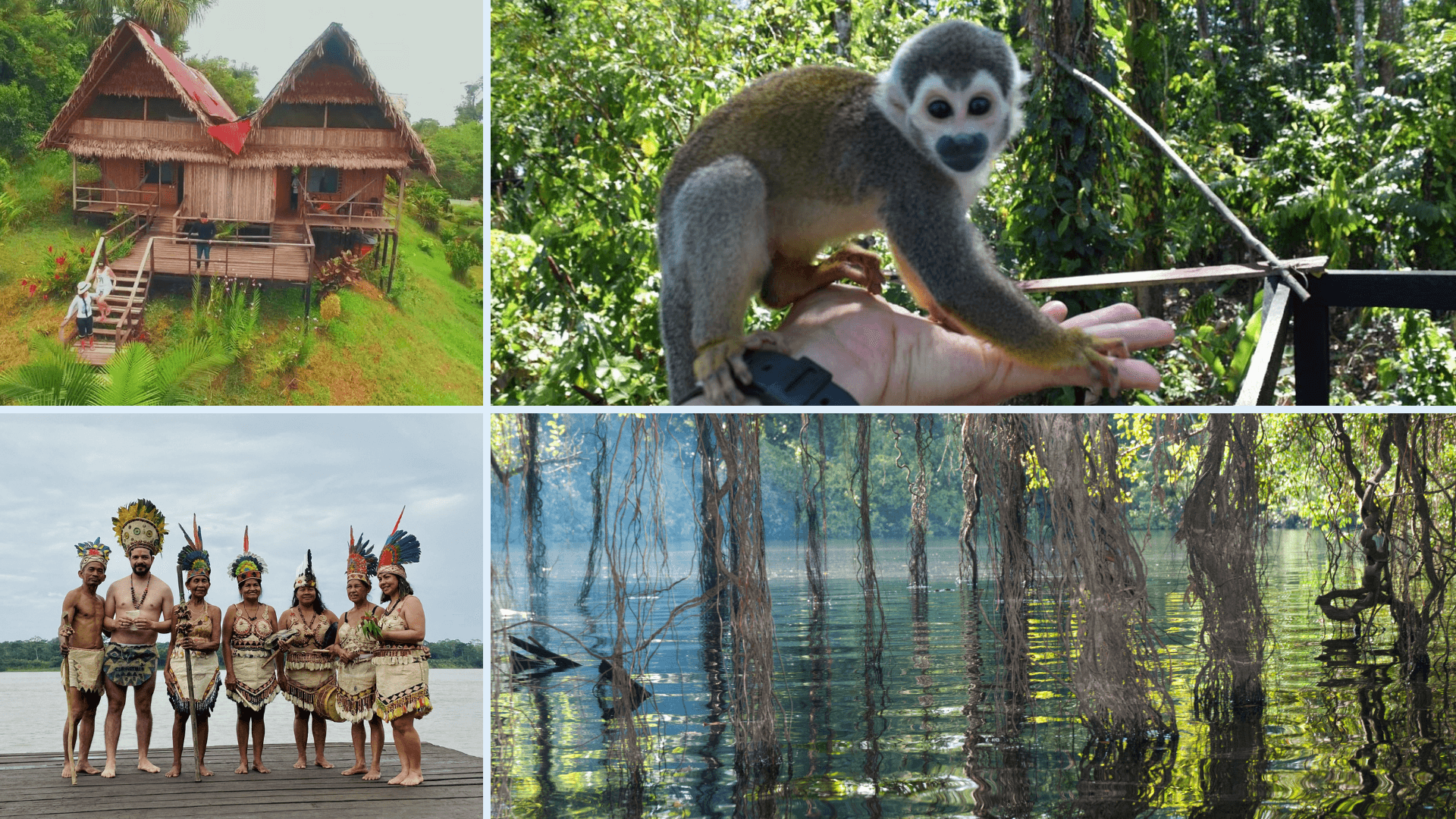 DÍA 2 –LETICIA -RÍO AMAZONAS – MACEDONIA - PUERTO NARIÑO - NATURAL PARK - ISLA MICOS - LAGO TARAPOTO - LETICIA  - Imagen del itinerario