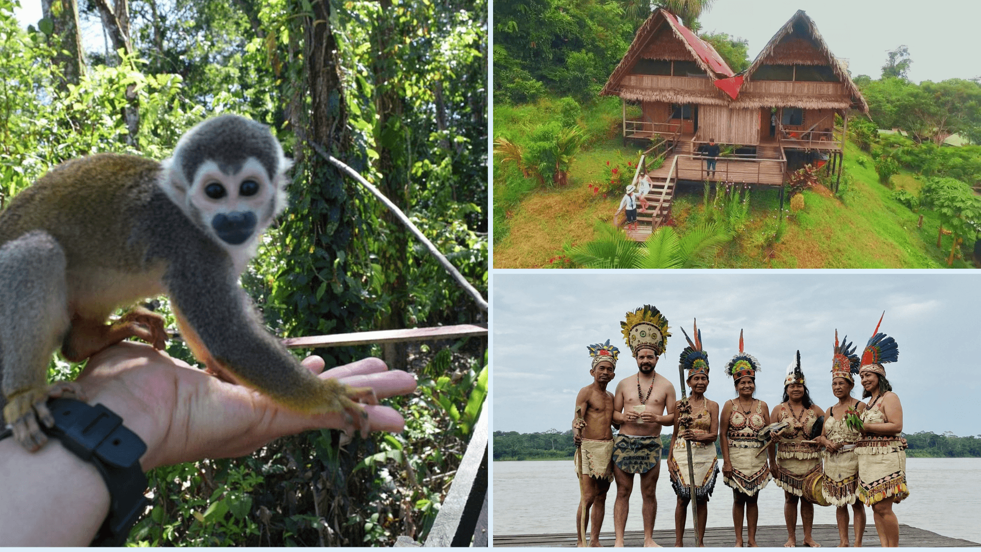 DÍA 3 – LETICIA – RÍO AMAZONAS – MACEDONIA, PUERTO NARIÑO, NATURAL PARK - ISLA MICOS - LETICIA - Imagen del itinerario