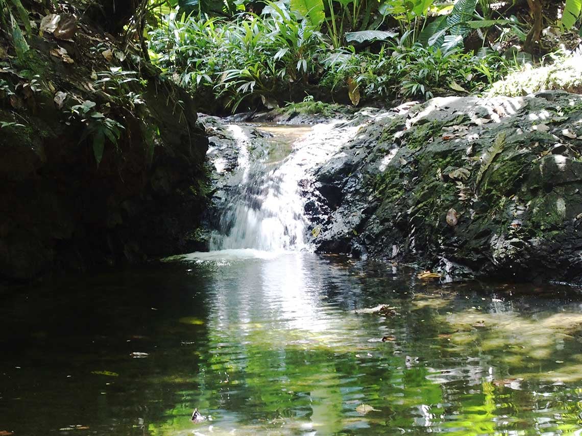 CAPURGANA – RESERVA NATURAL “EL CIELO” - Imagen del itinerario