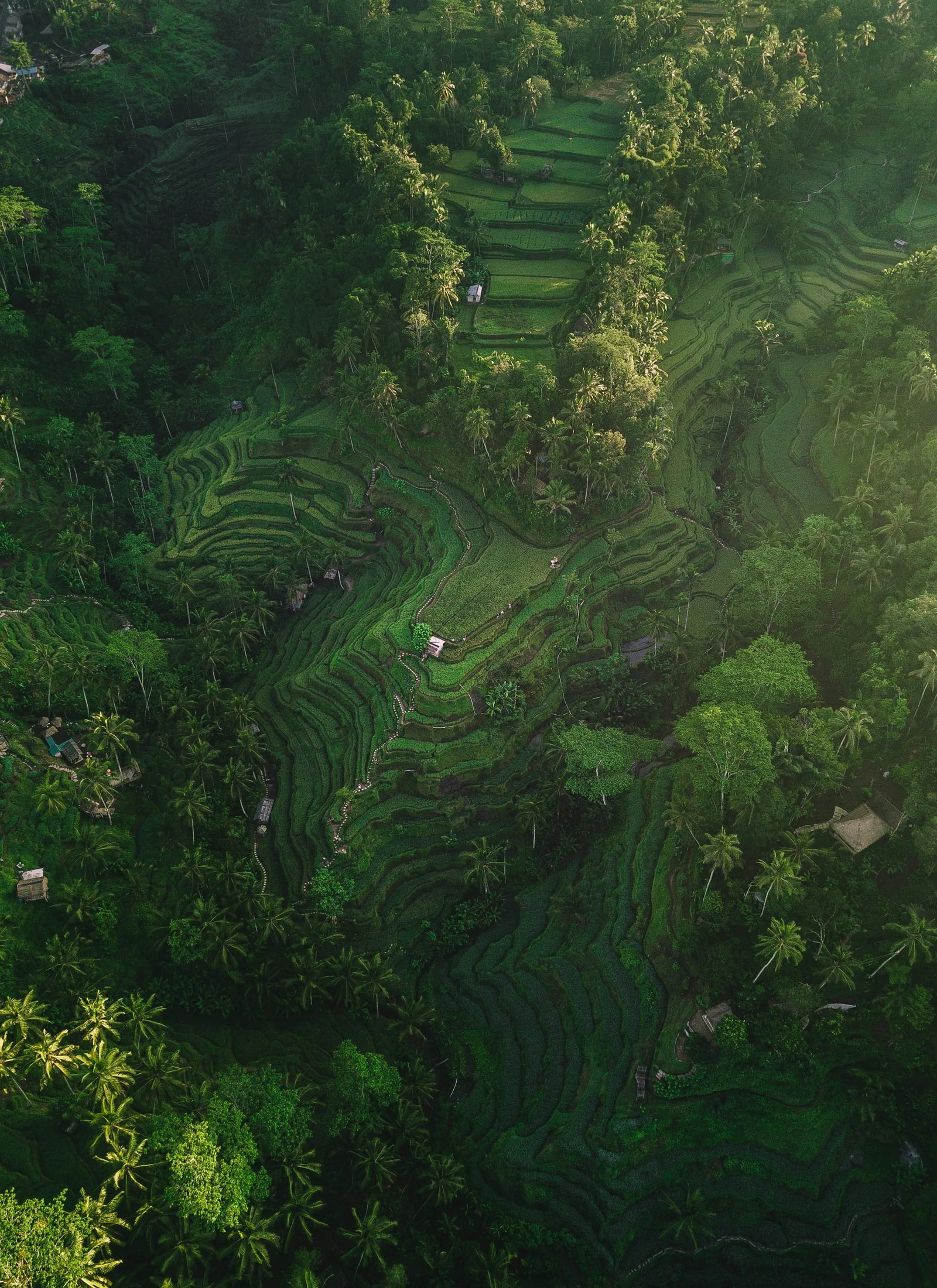 Indonesia / Bali