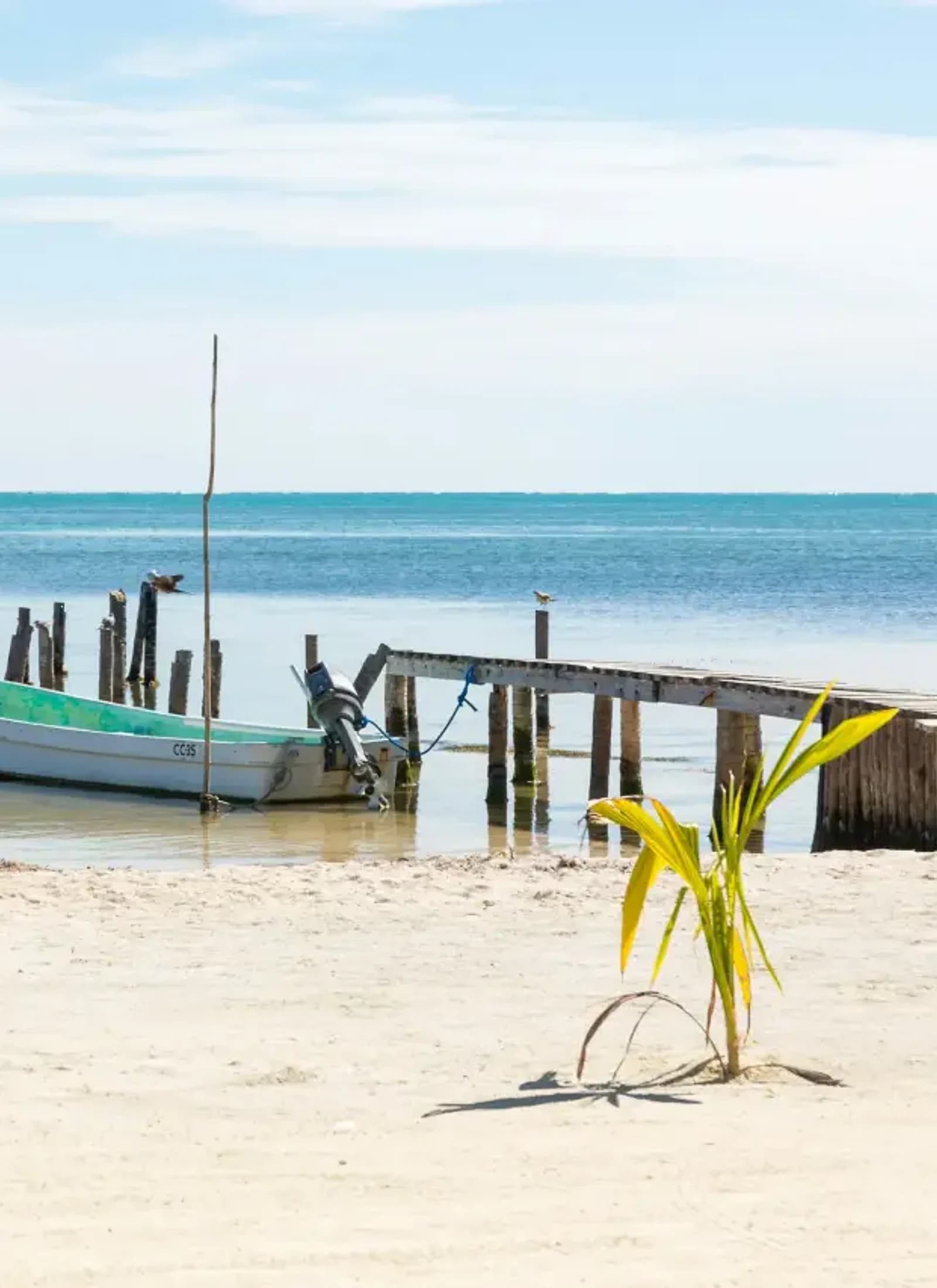 Imagen de Cancún para la guía Cancún todo incluido: hotel, playa y tours recomendados
