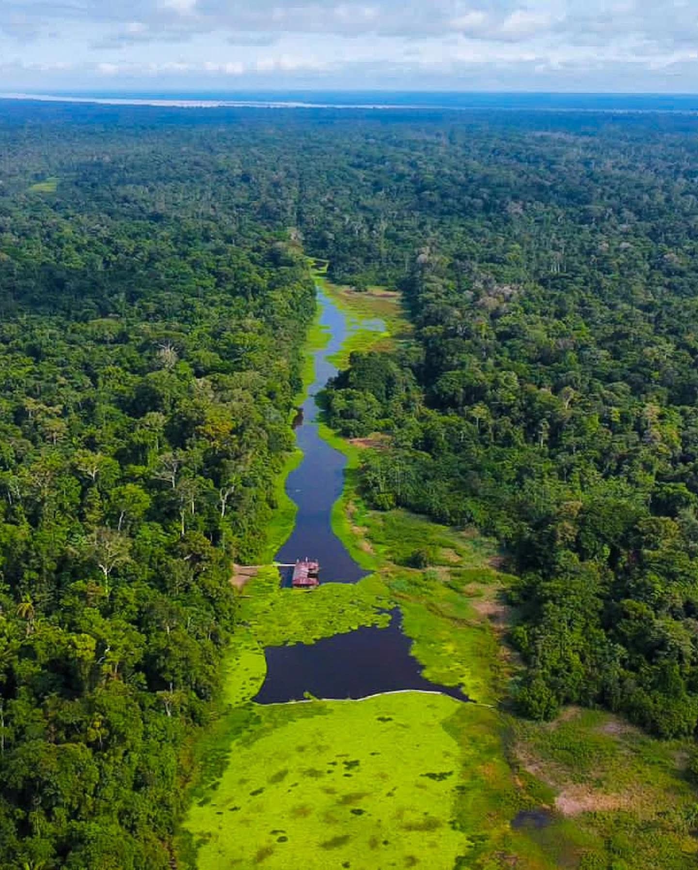 Imagen de Amazonas para la guía Qué incluye un plan al Amazonas colombiano