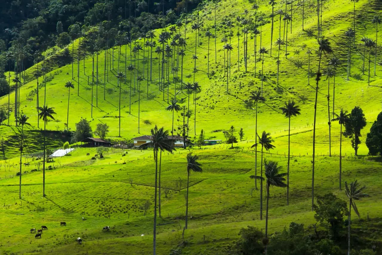 Paisaje colombiano para planear un viaje con asesor